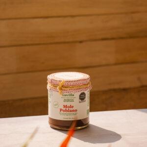 Mole Poblano